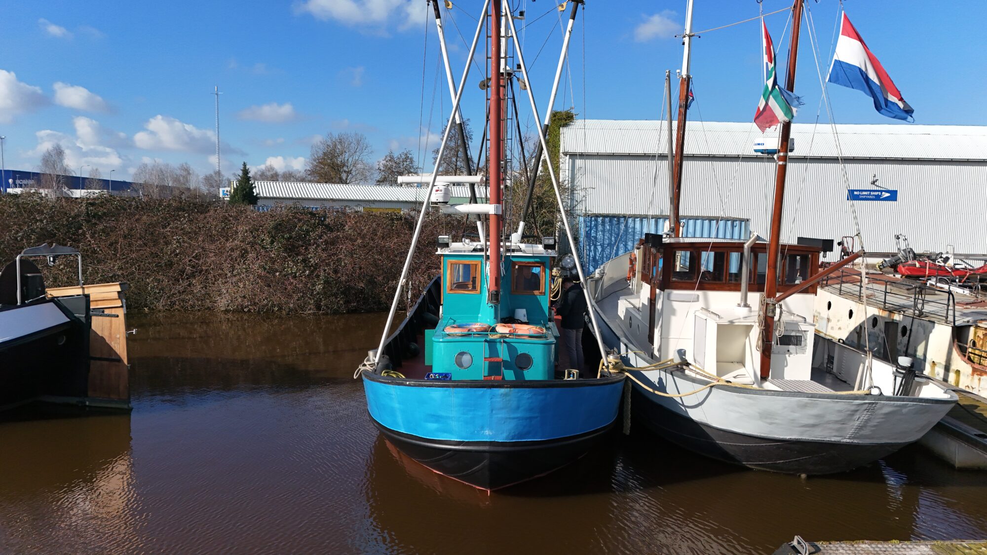 Noordzeekotter ‘WR 134’