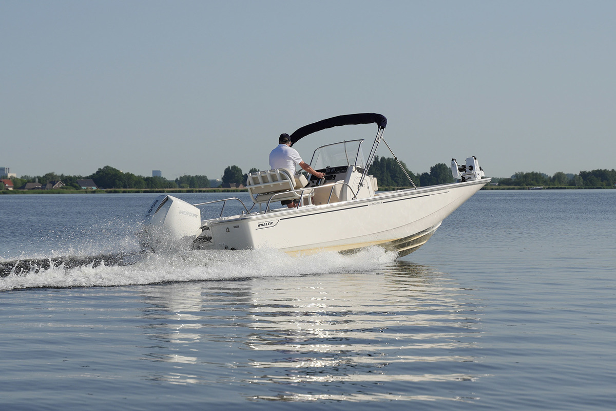 Boston Whaler 210 Montauk
