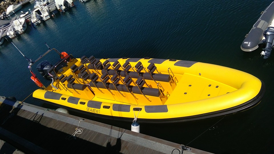 Hydrosport 909 VFI