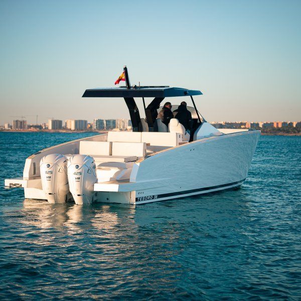 Tesoro T38 Cruiser