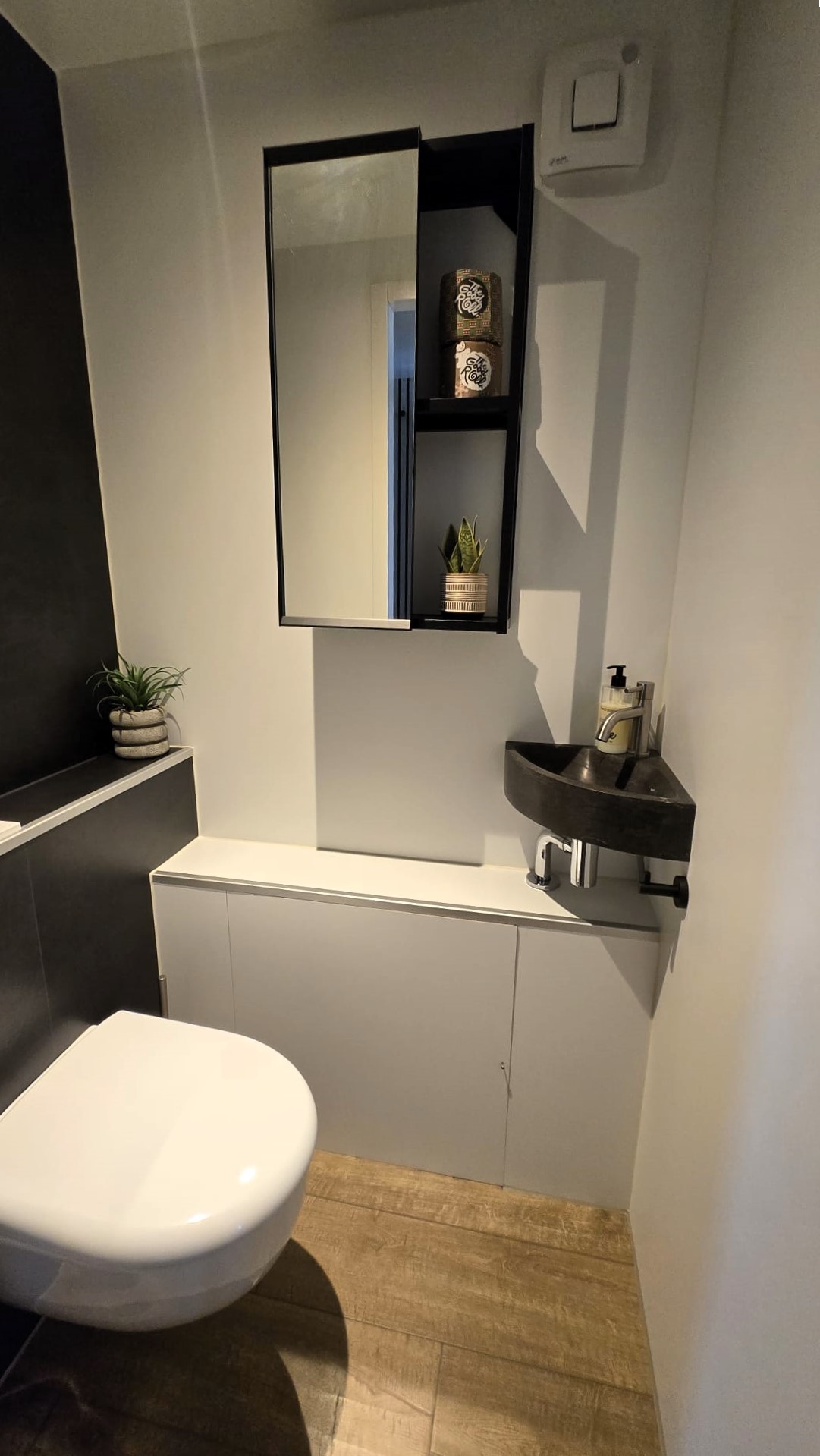 Castalia Evt. Met Koopligplaats Special Houseboat 1460 X 500