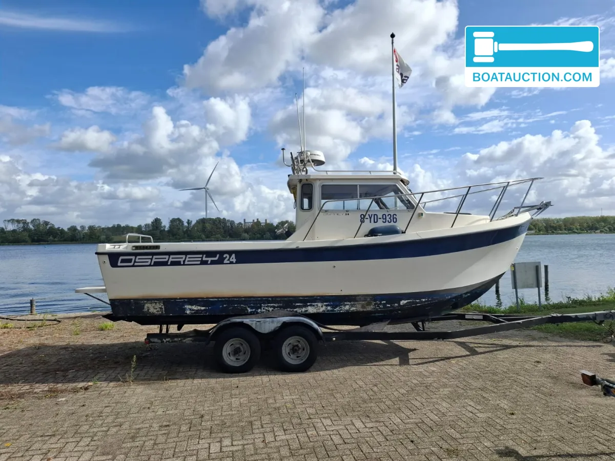 Osprey 24