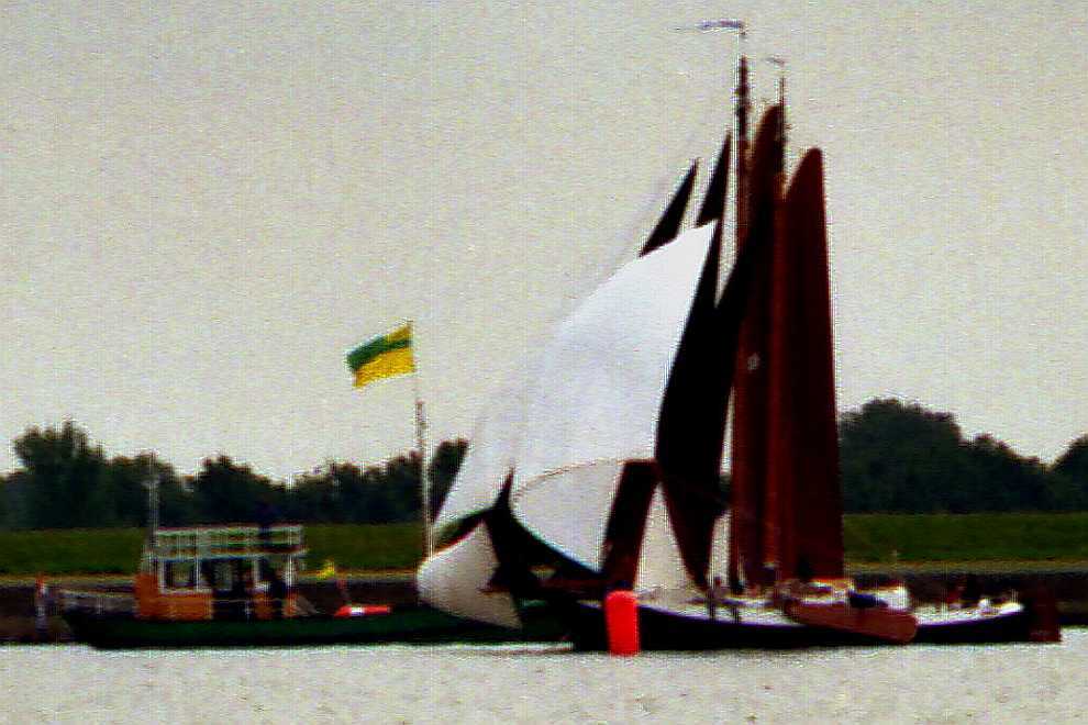 Blom Lemsteraak Roefaak 12.10