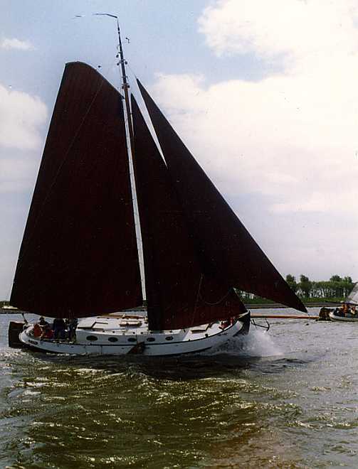 Blom Lemsteraak Roefaak 12.10
