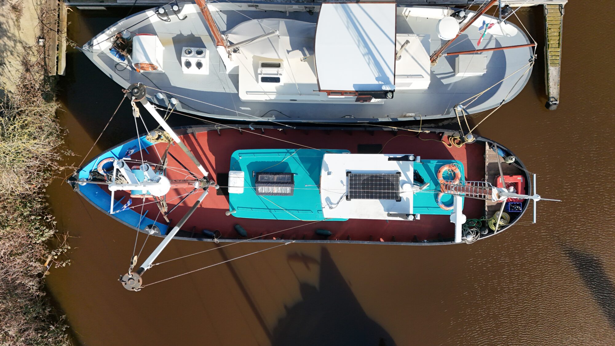 Noordzeekotter ‘WR 134’