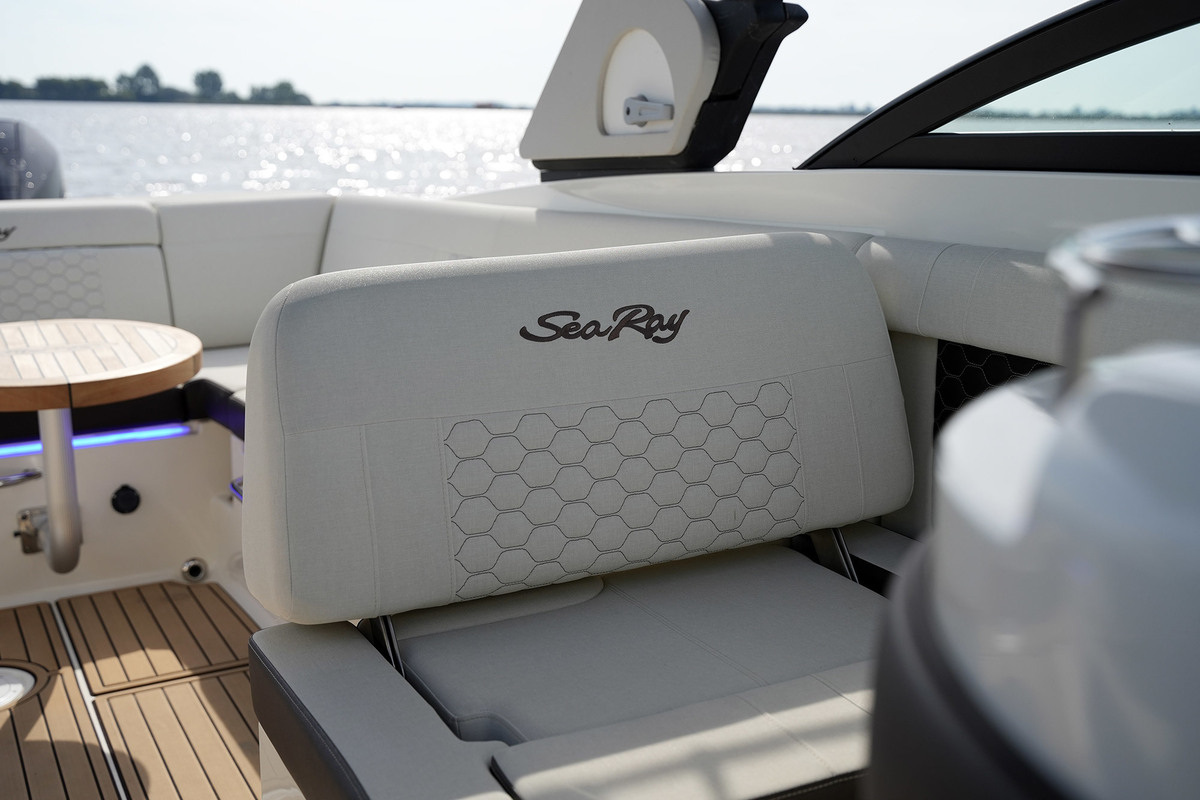 Sea Ray SDX 290 Outboard