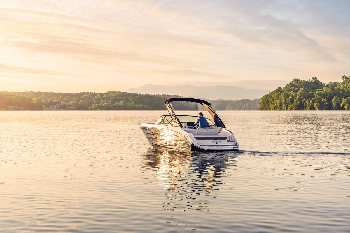 Sea Ray SDX 230