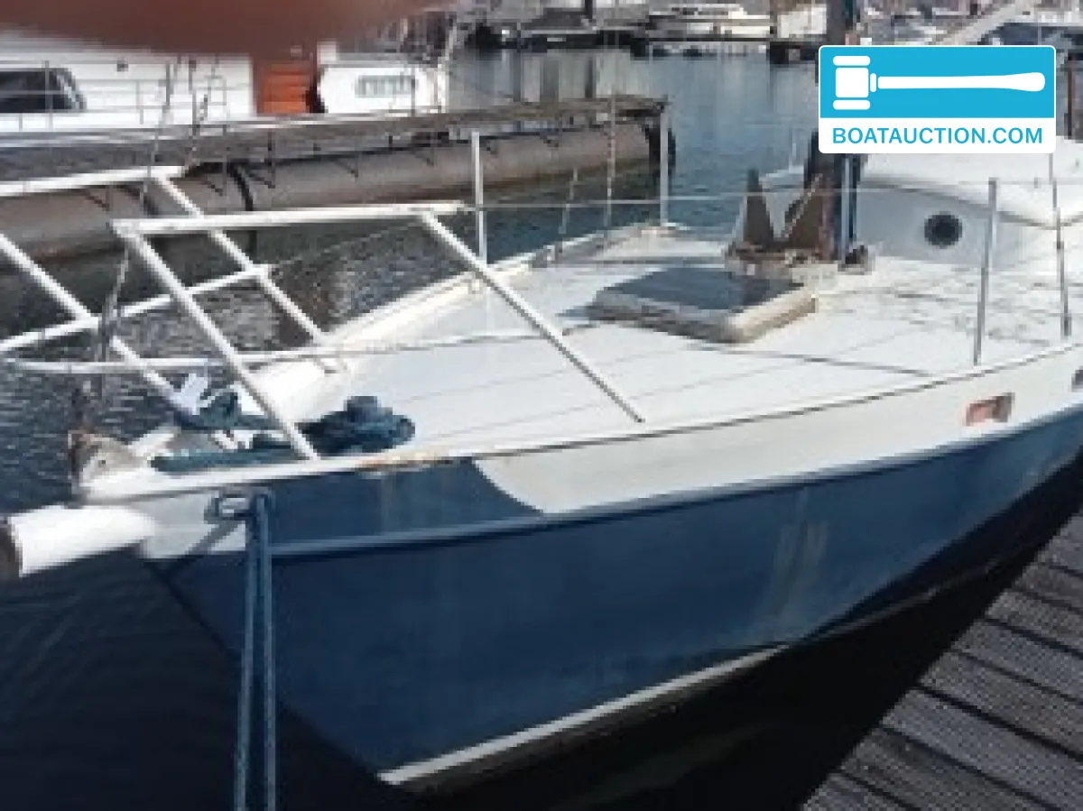 Pieter Beeldsnijder Gouwzee