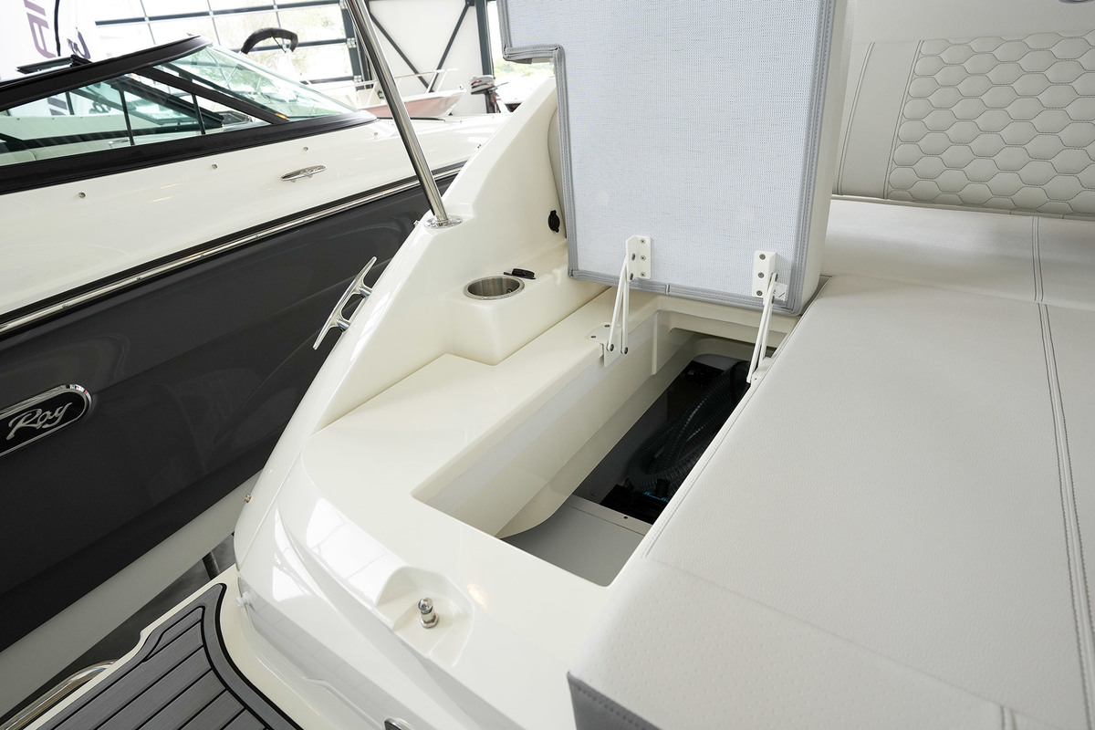 Sea Ray SDX 250