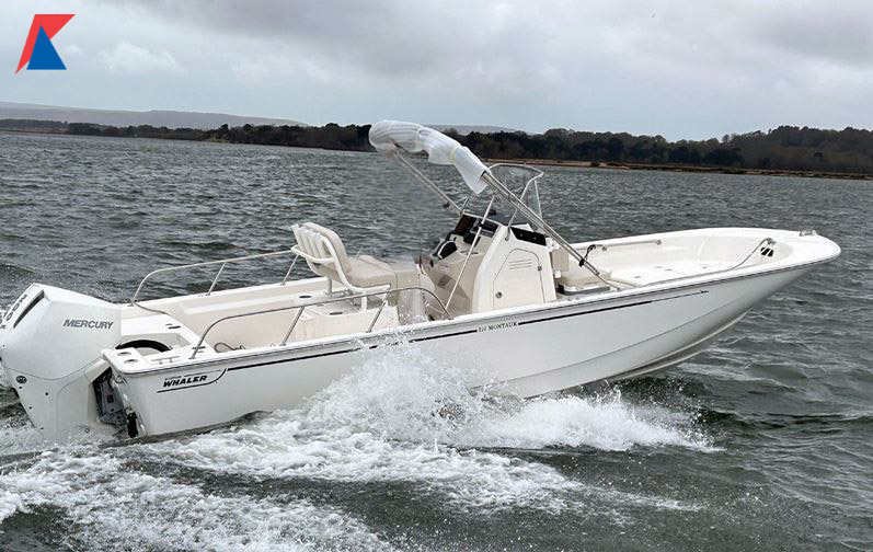 Boston Whaler 210 Montauk hoofdfoto: 1