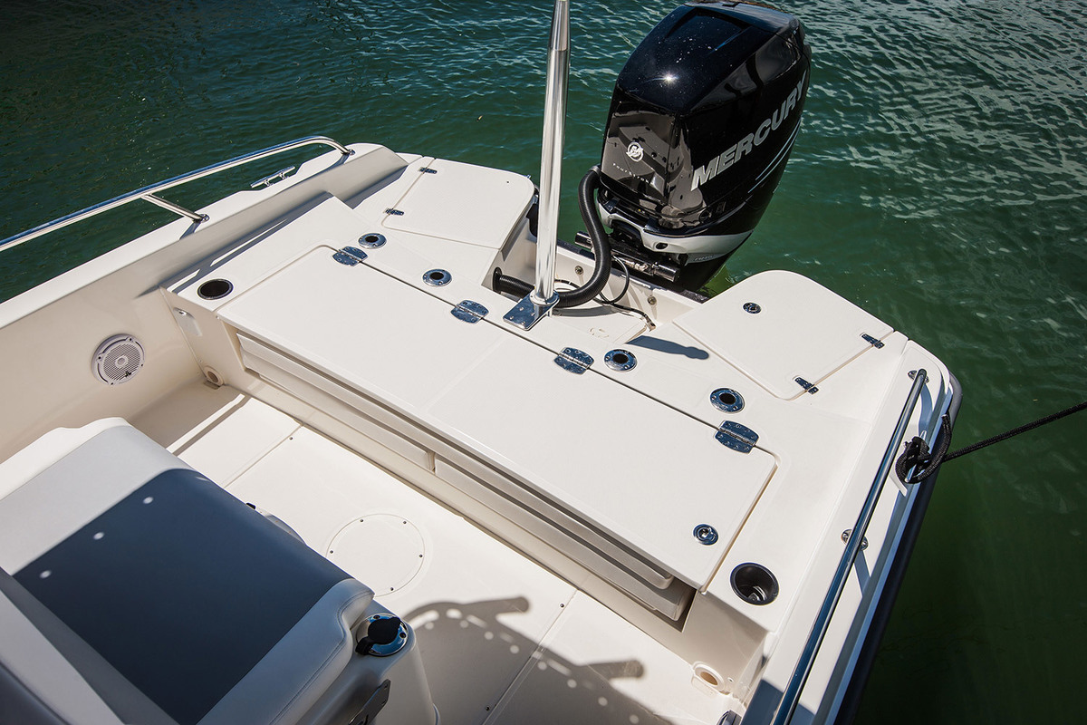 Boston Whaler 250 Dauntless