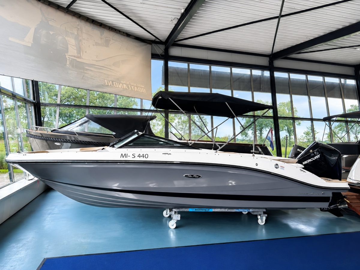 Sea Ray 210 SPX Outboard