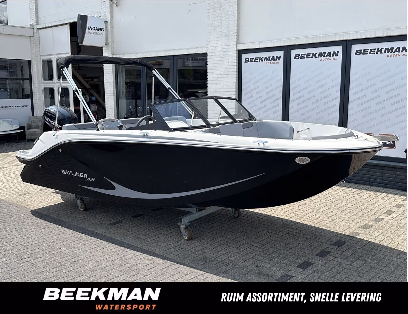 Bayliner Element M19
