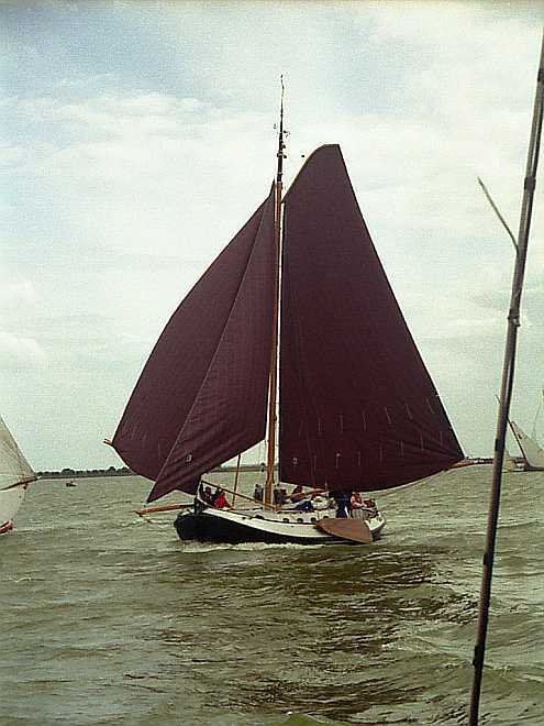 Blom Lemsteraak Roefaak 12.10