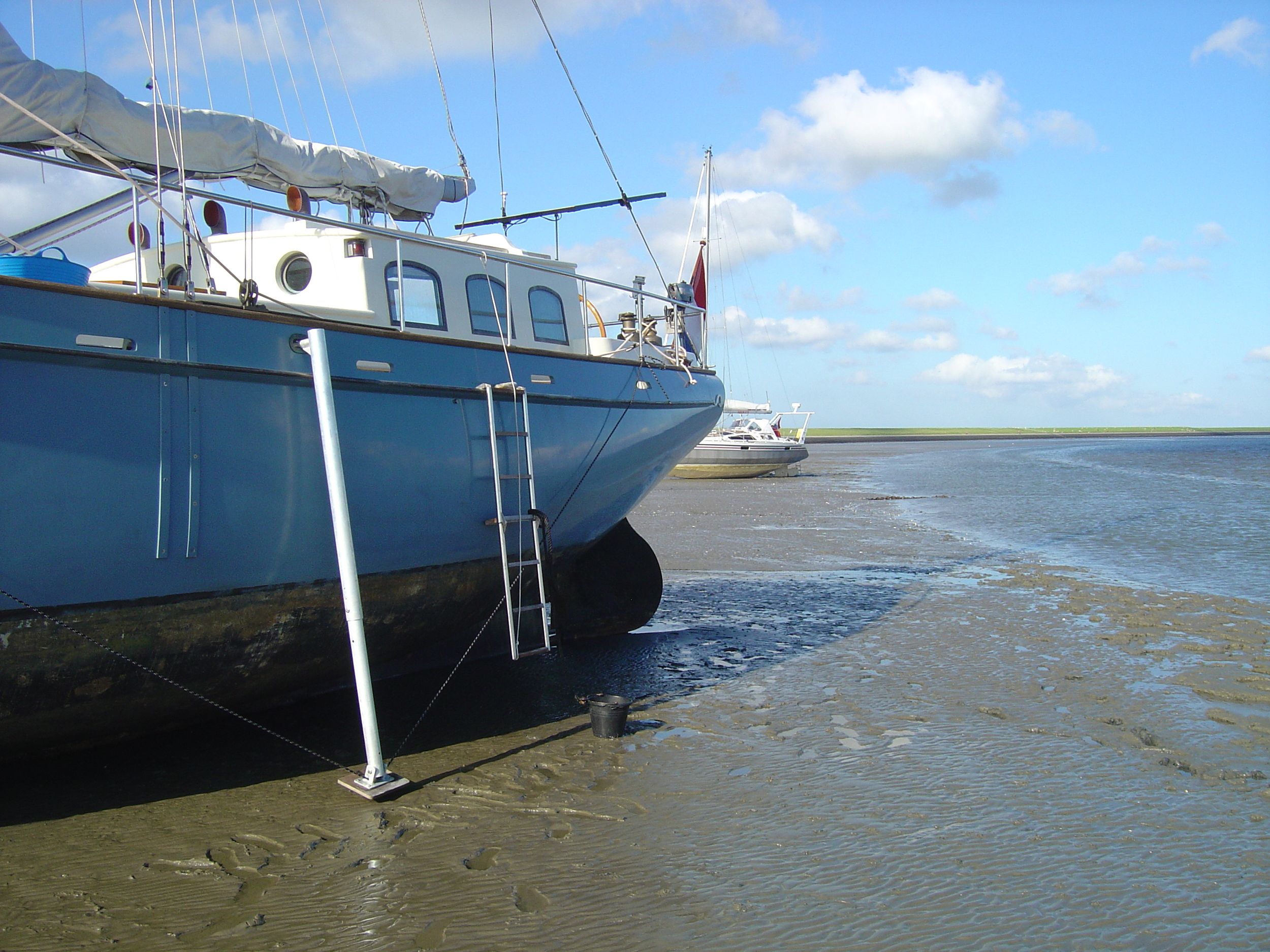 Puffin 42