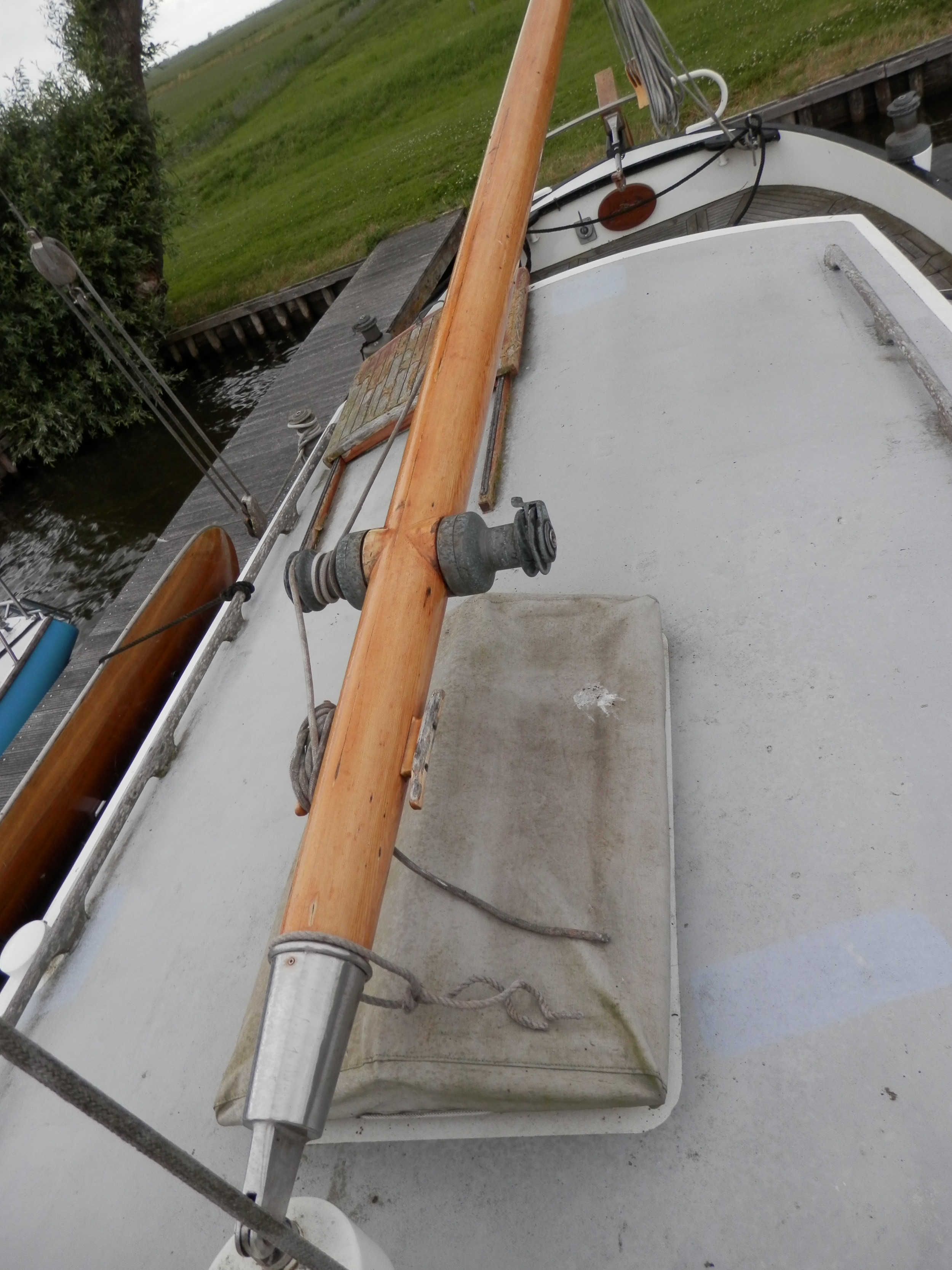 Blom Lemsteraak Roefaak 12.10