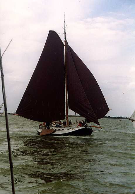 Blom Lemsteraak Roefaak 12.10