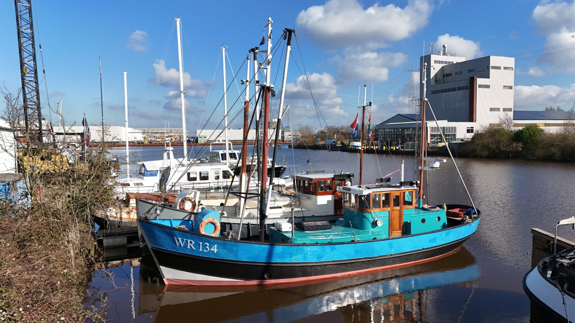 Noordzeekotter ‘WR 134’ hoofdfoto: 1