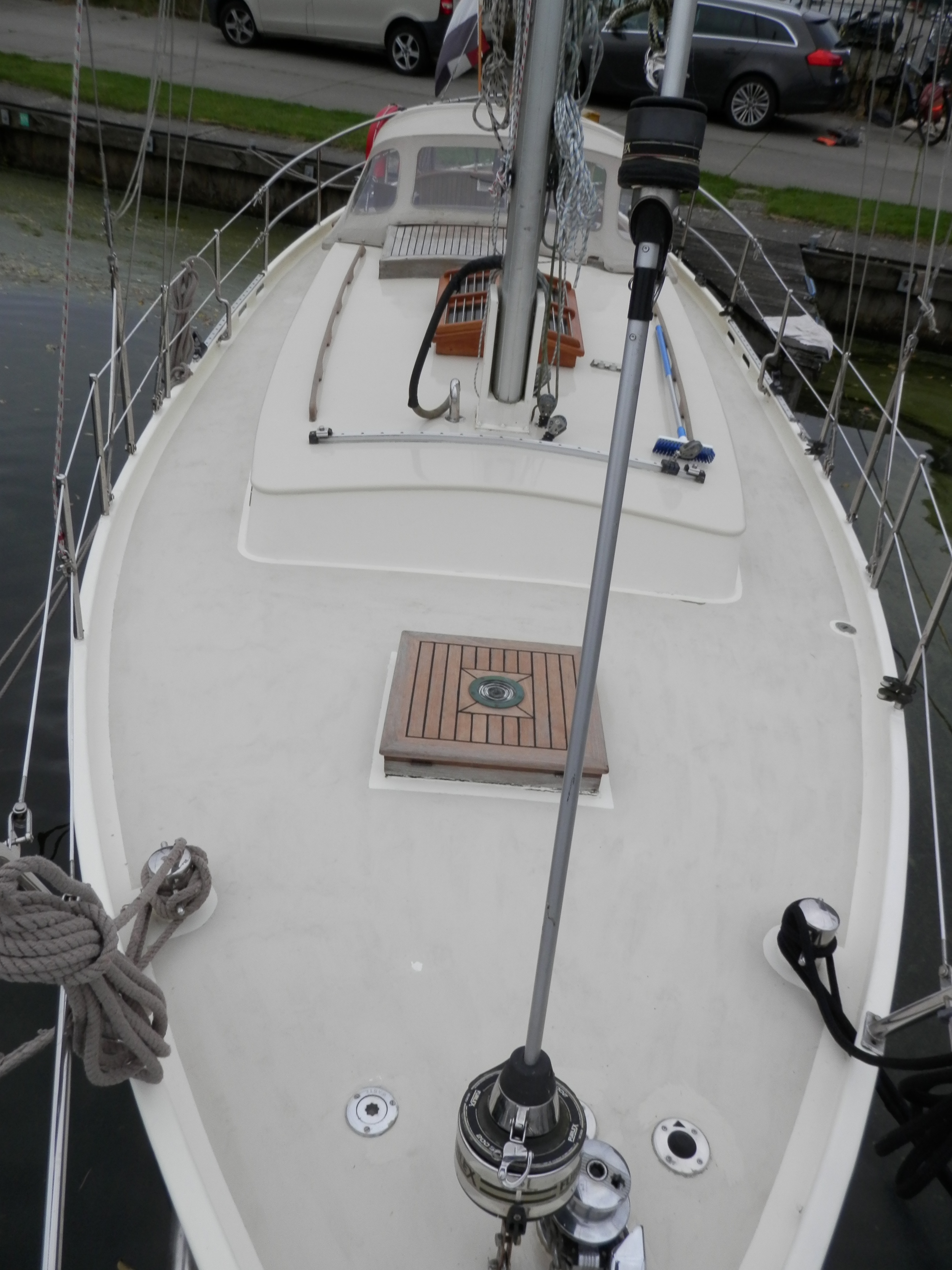 Danish Rose 31