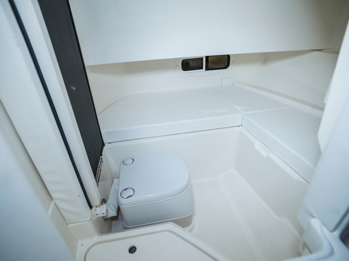 Sea Ray SDX 250