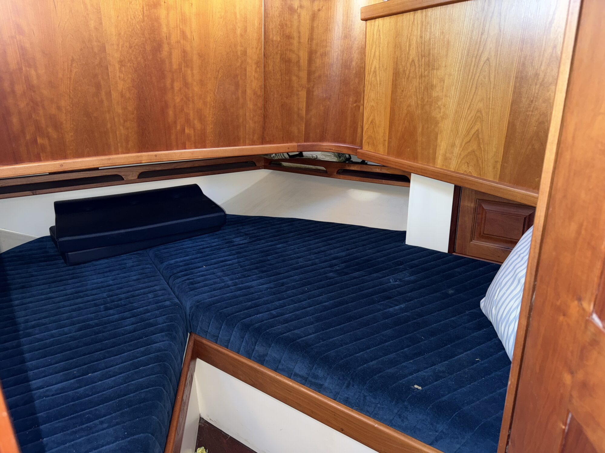 Noordzeekotter ‘WR 134’