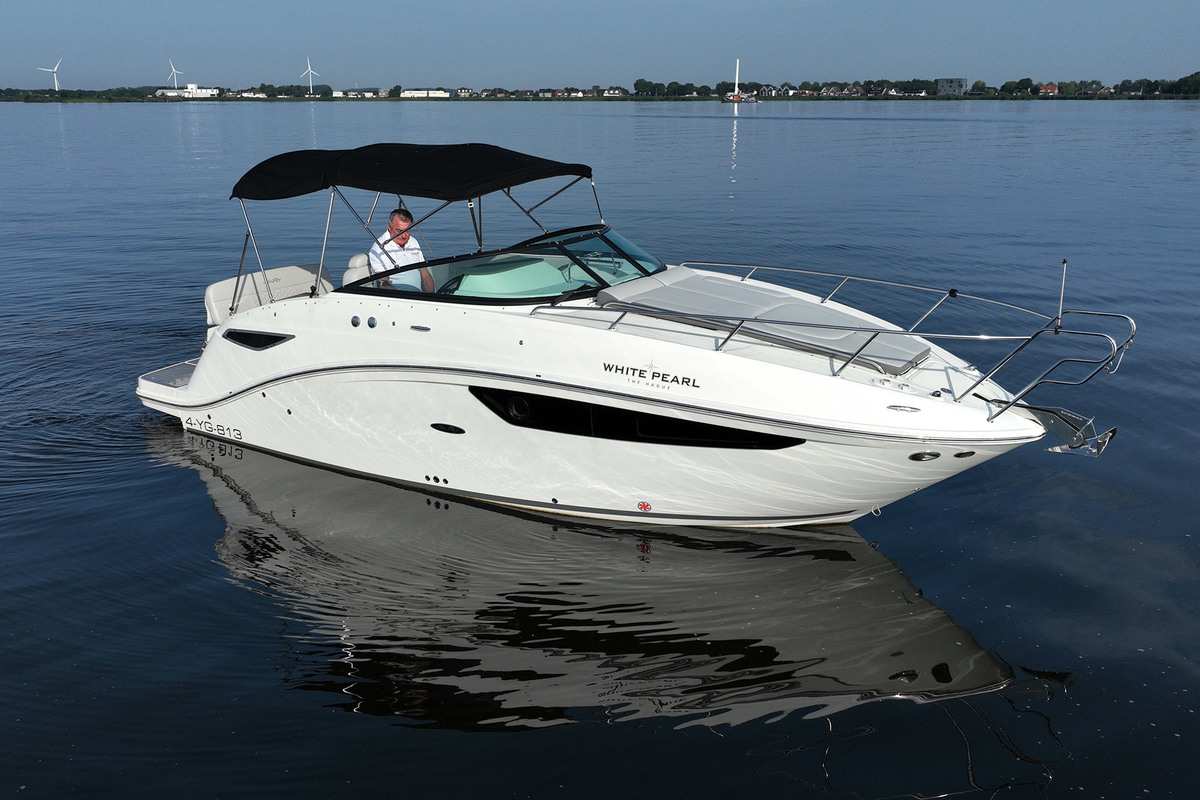 Sea Ray 265