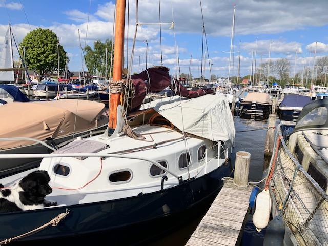 Classic Dordste Hoogaars met midzaard