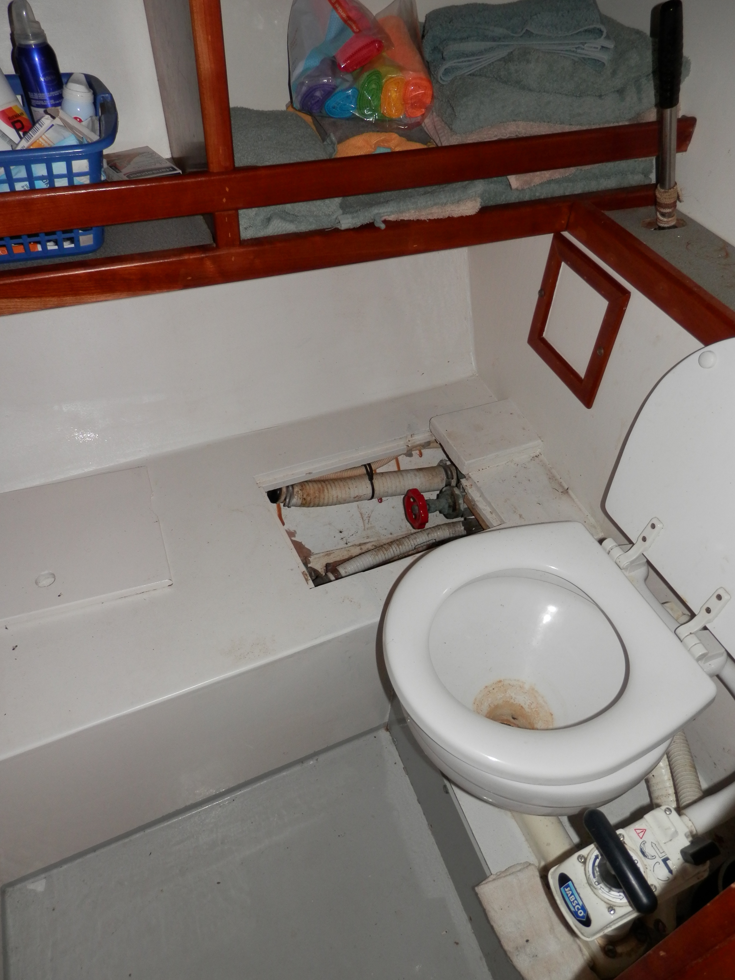 Blom Lemsteraak Roefaak 12.10