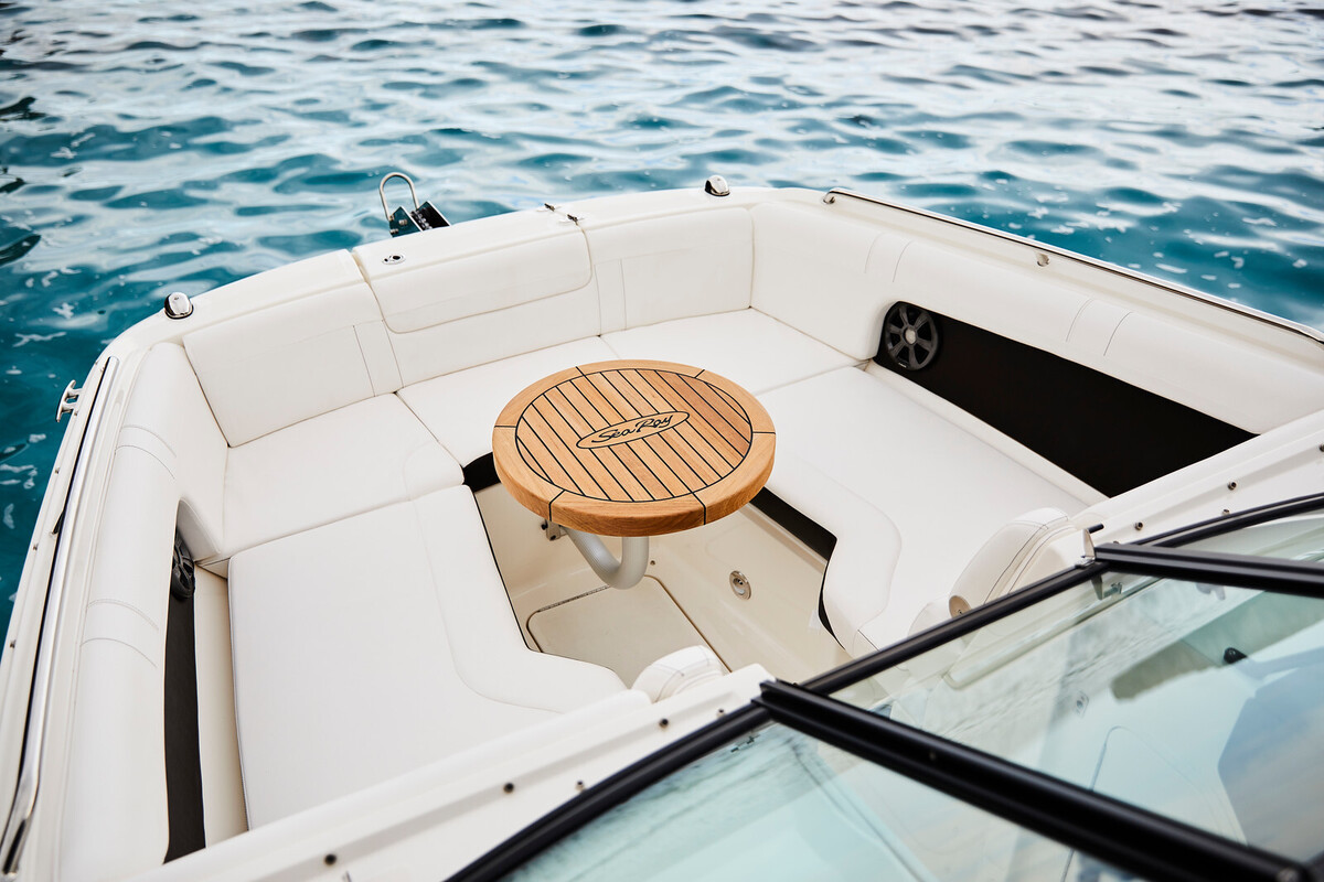 Sea Ray SDX 270