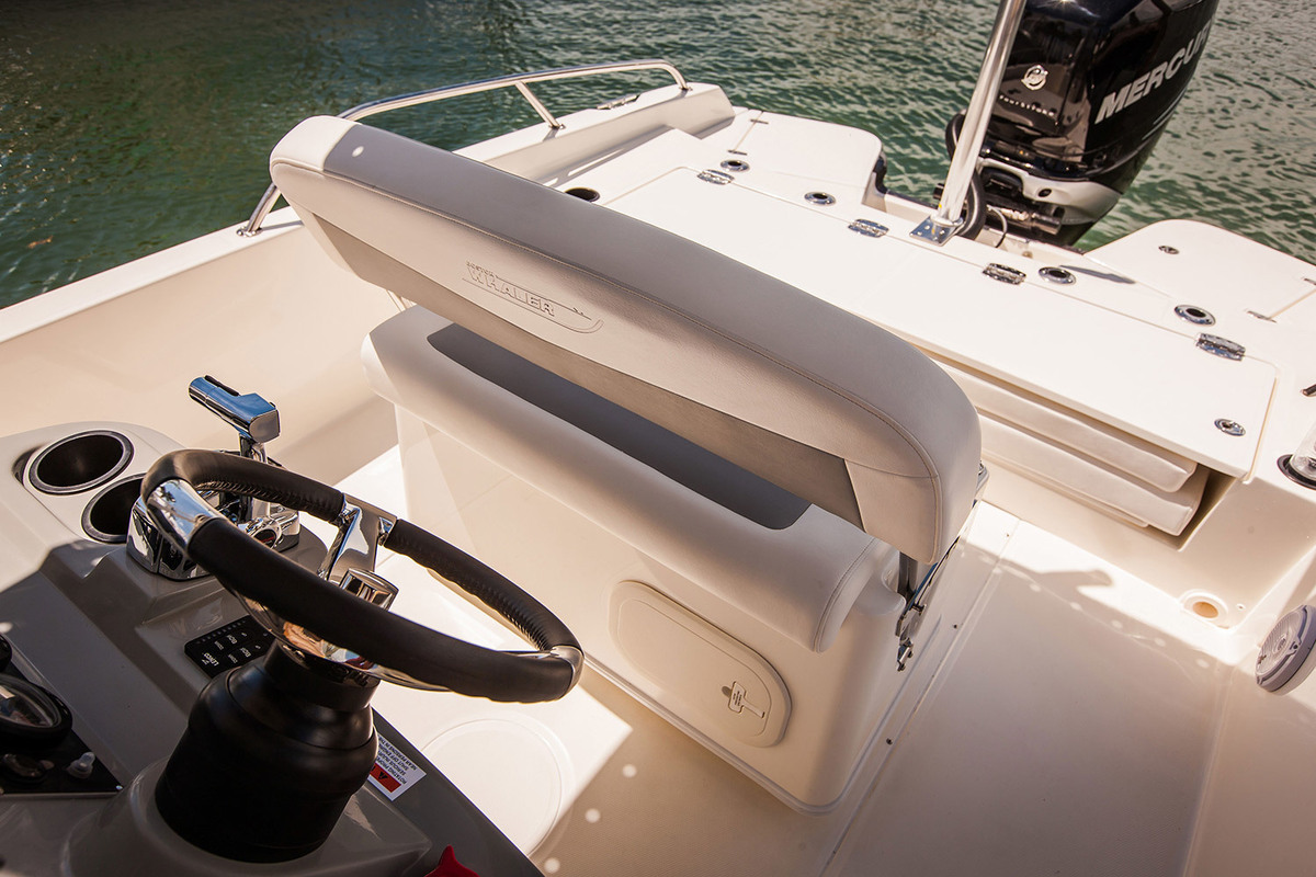 Boston Whaler 250 Dauntless