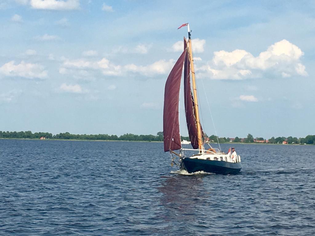 Classic Dordste Hoogaars met midzaard