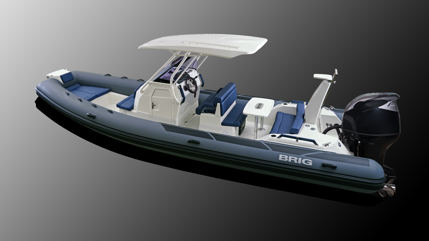 Brig Ribs Brig Eagle 8