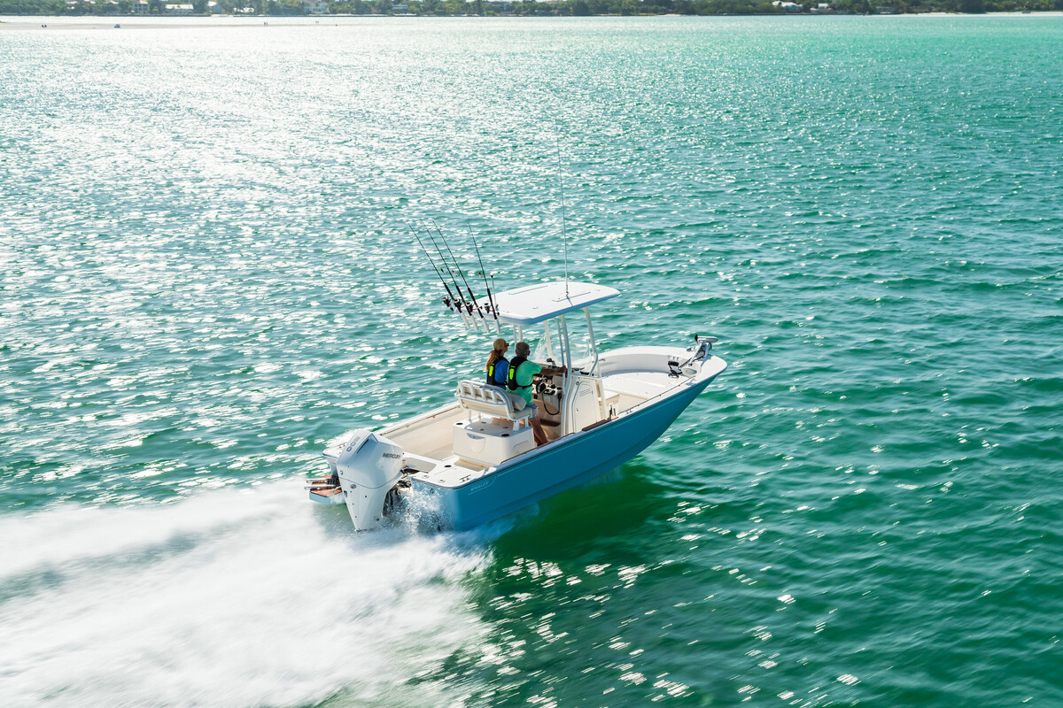 Boston Whaler 210 Montauk