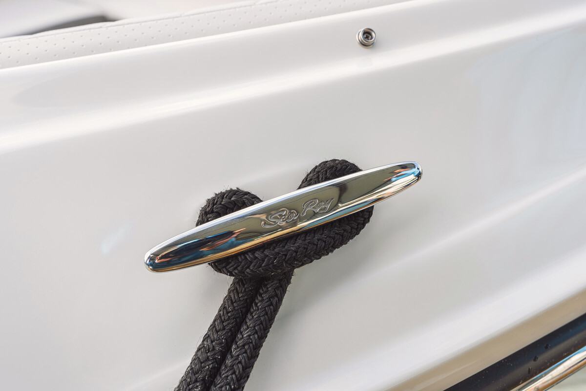 Sea Ray SDX 250
