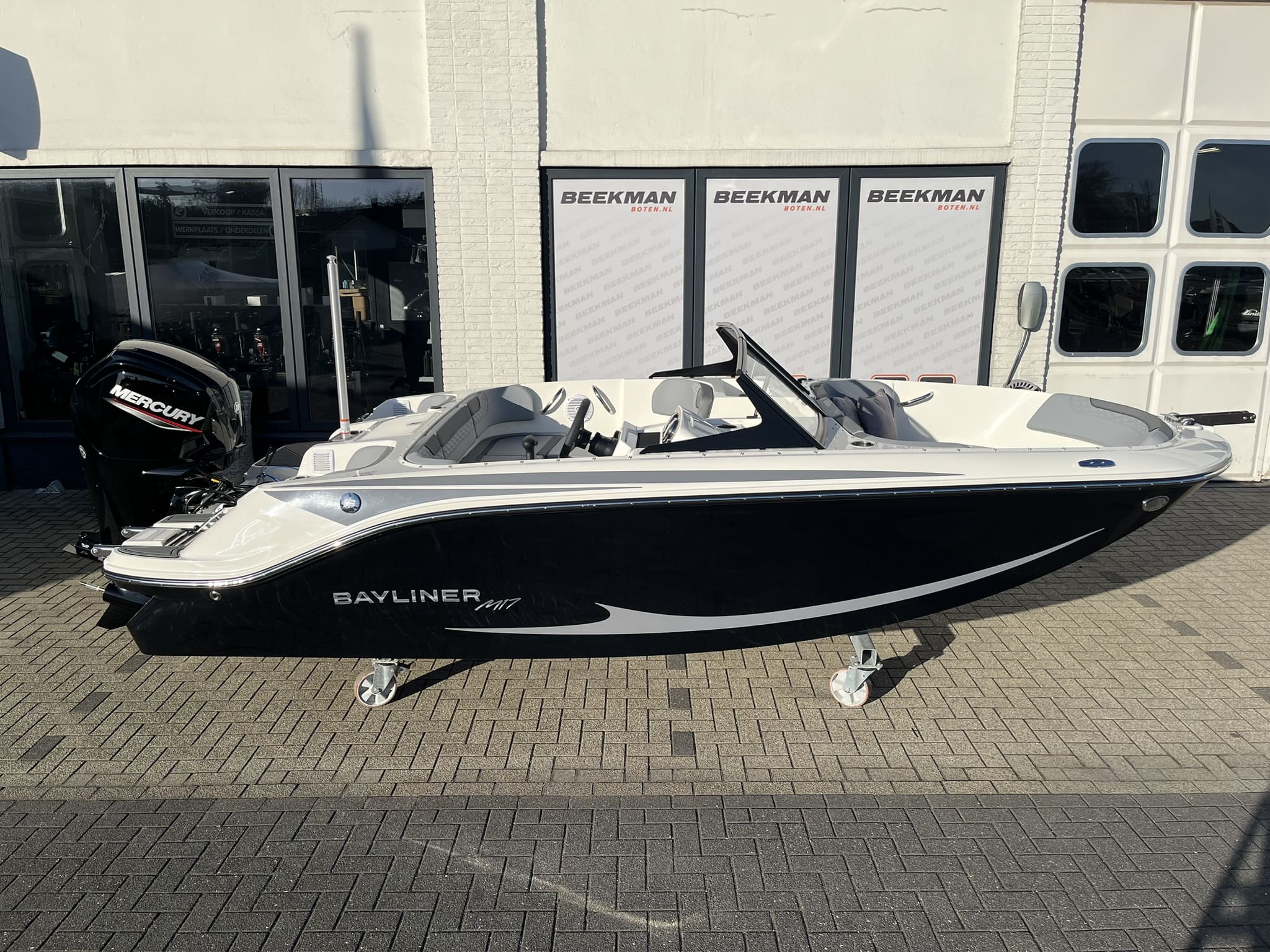 Bayliner Element M17