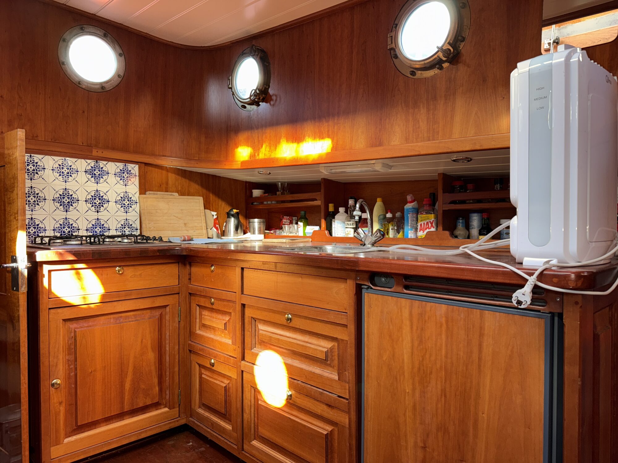 Noordzeekotter ‘WR 134’