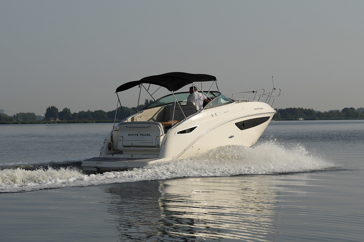 Sea Ray 265