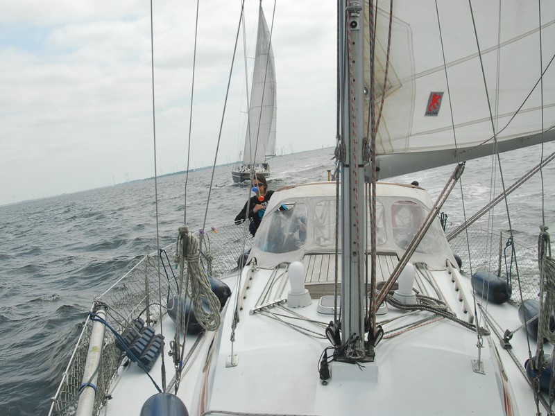 Van de Stadt 30 Vita