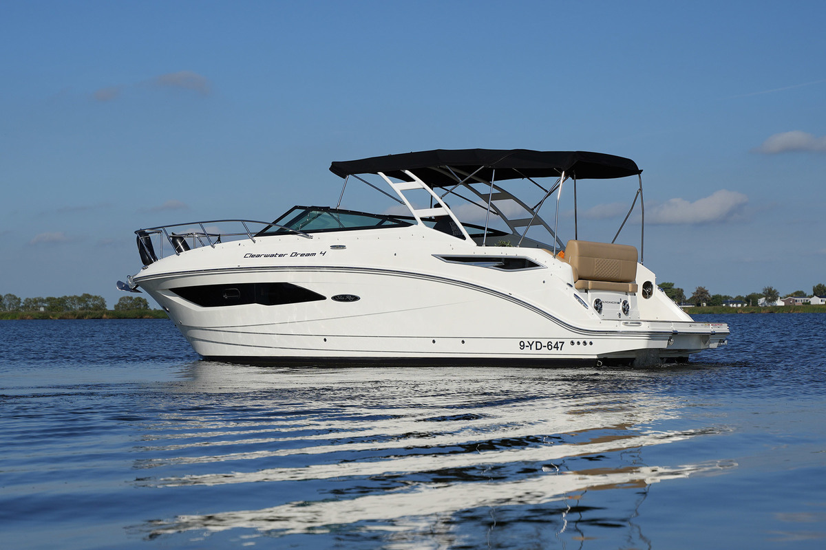 Sea Ray Sundancer 290