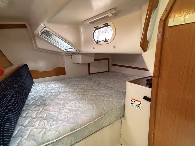 Catalina 320