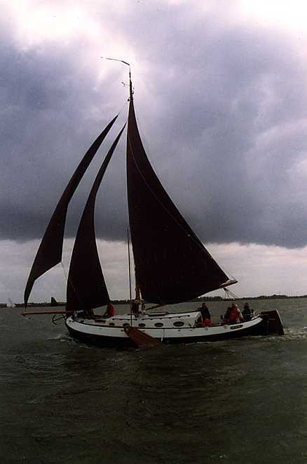 Blom Lemsteraak Roefaak 12.10