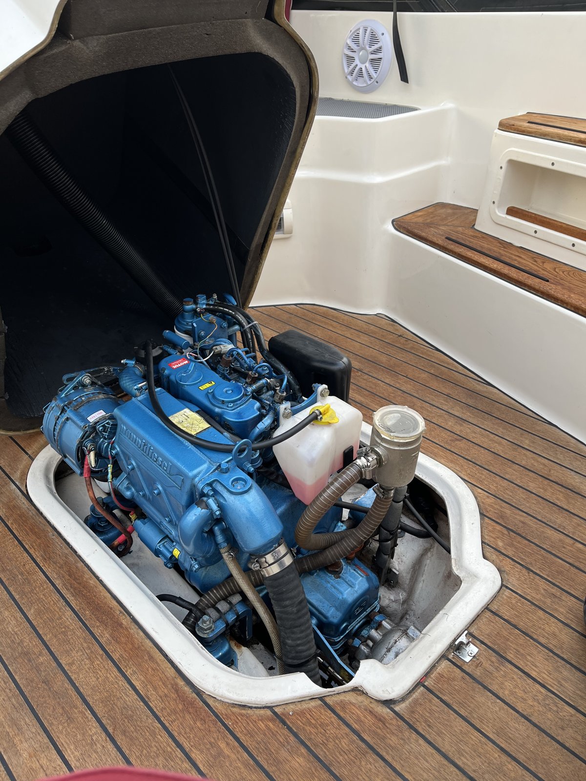 Zarro Excellent 6.50 