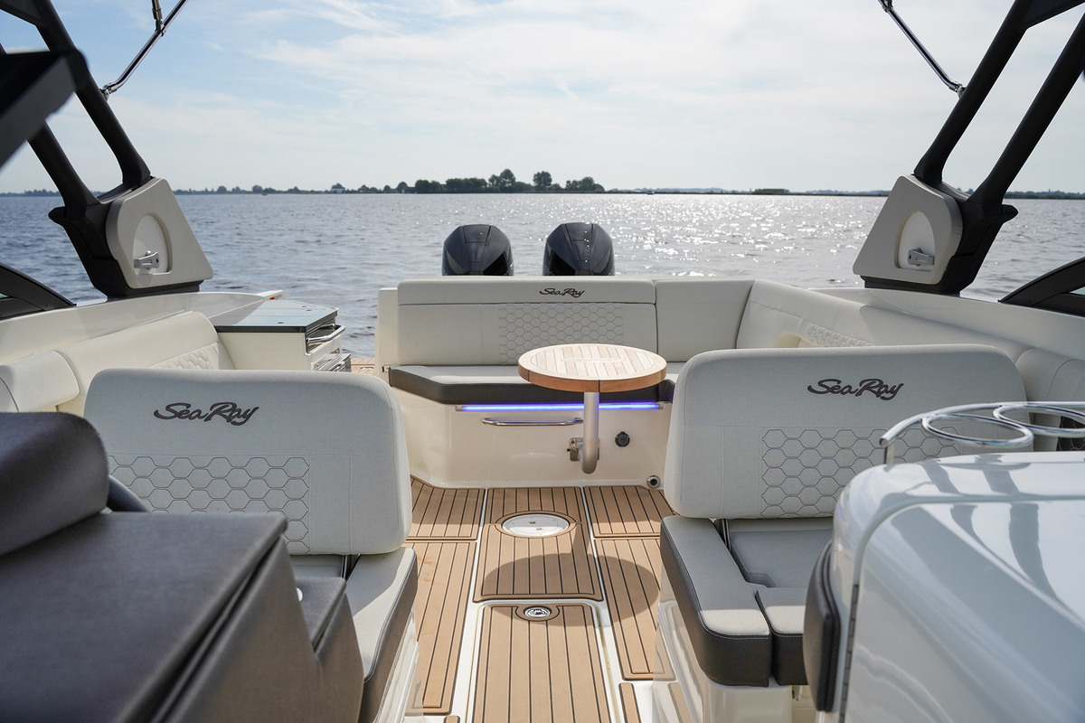 Sea Ray SDX 290 Outboard