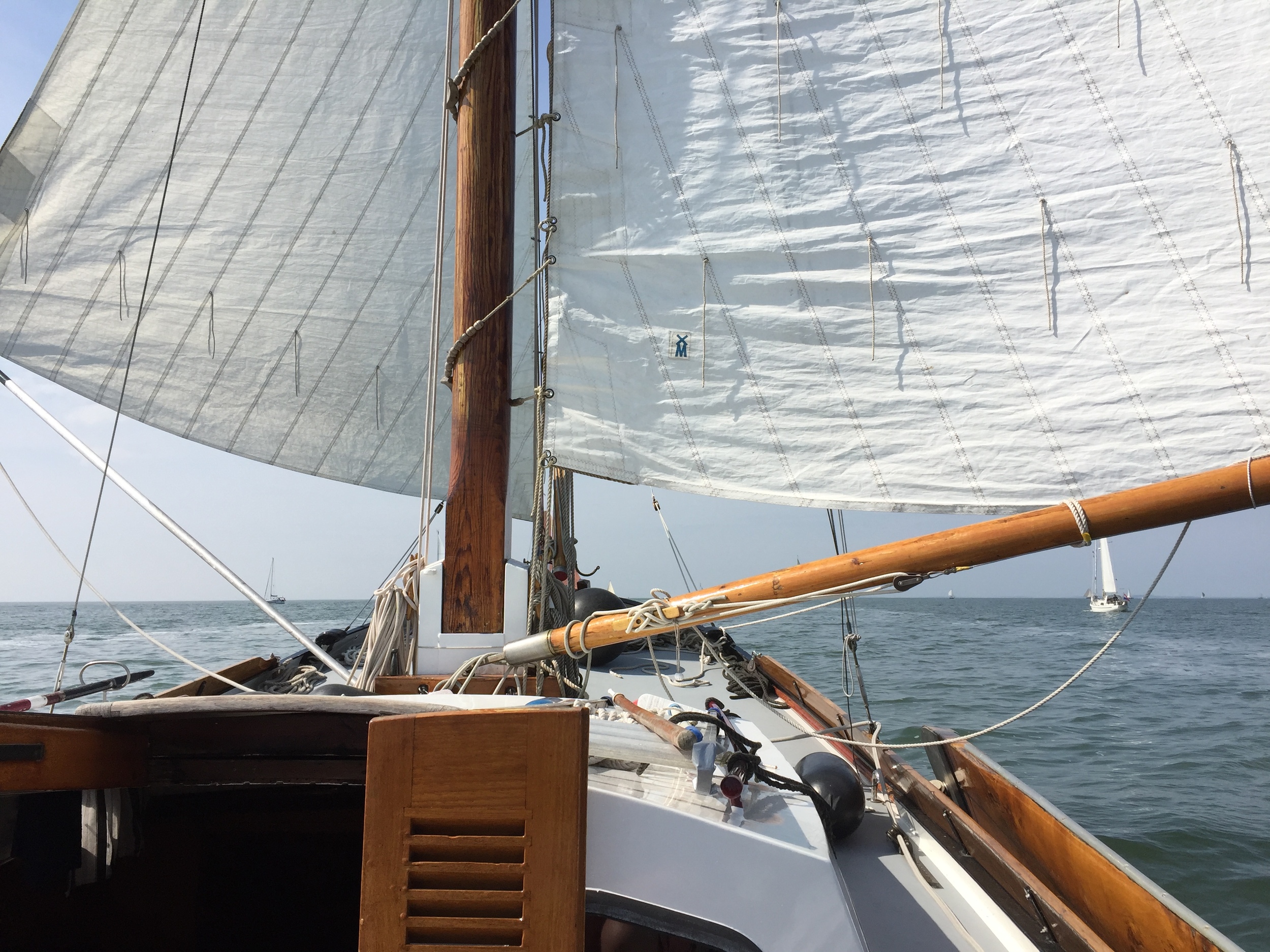 Blom Lemsteraak 10.10