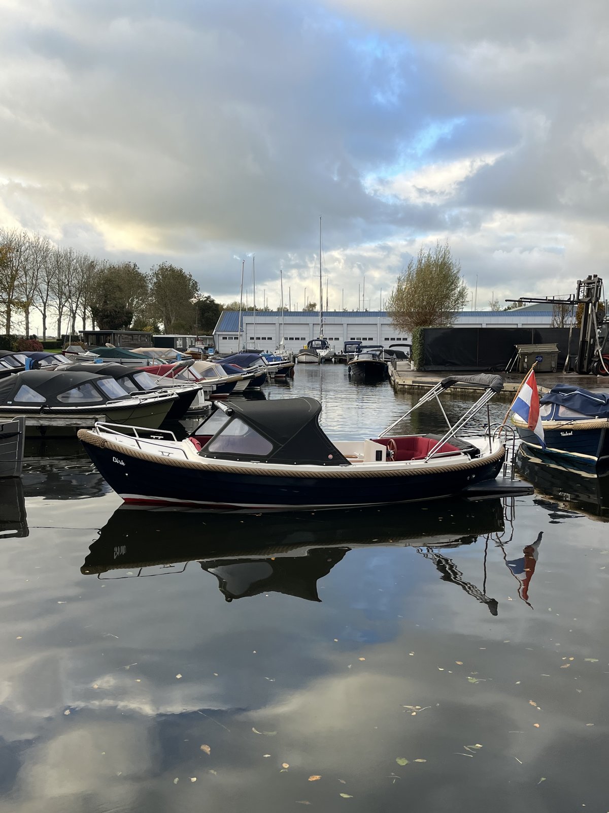 Zarro Excellent 6.50 