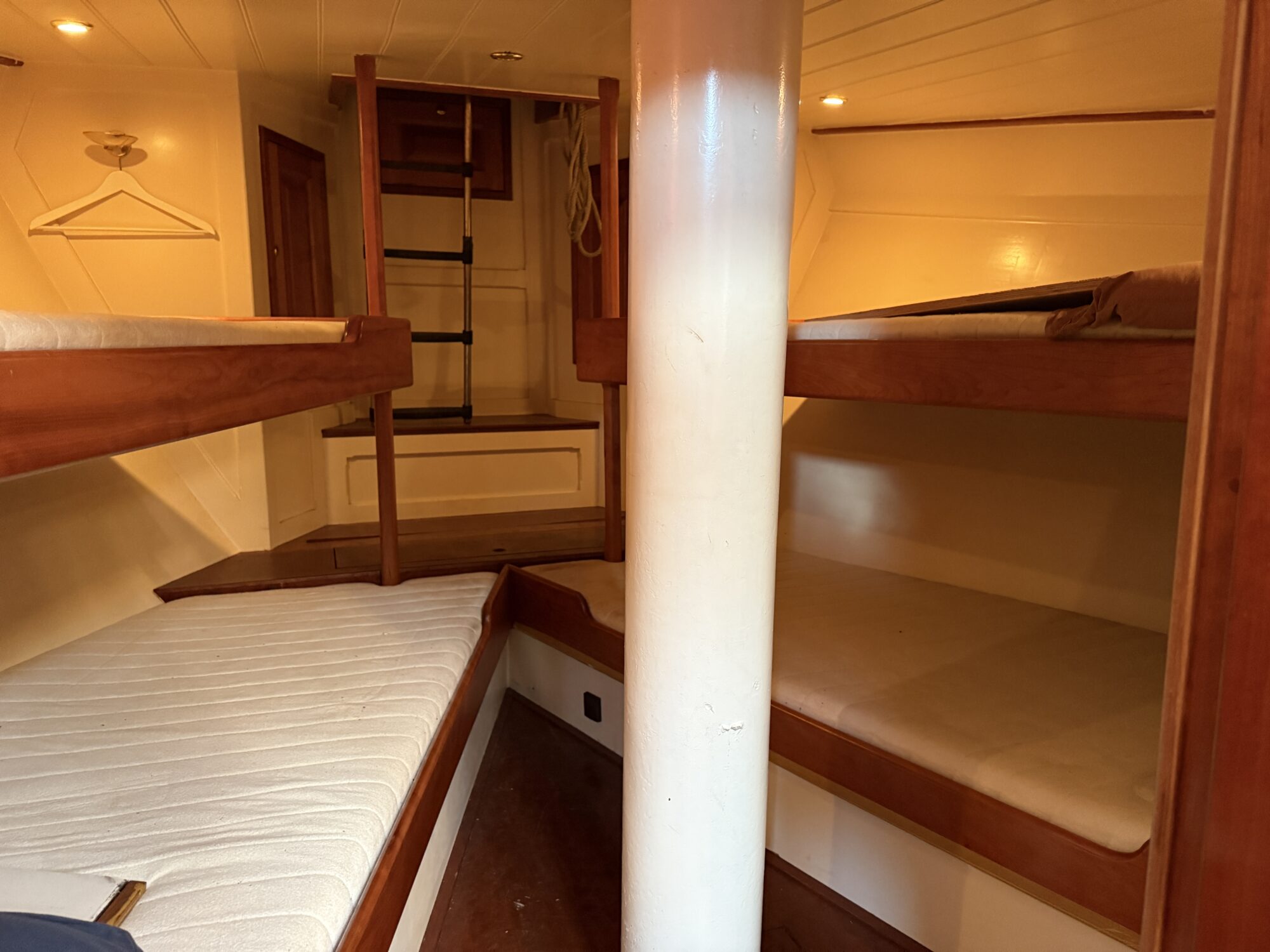 Noordzeekotter ‘WR 134’