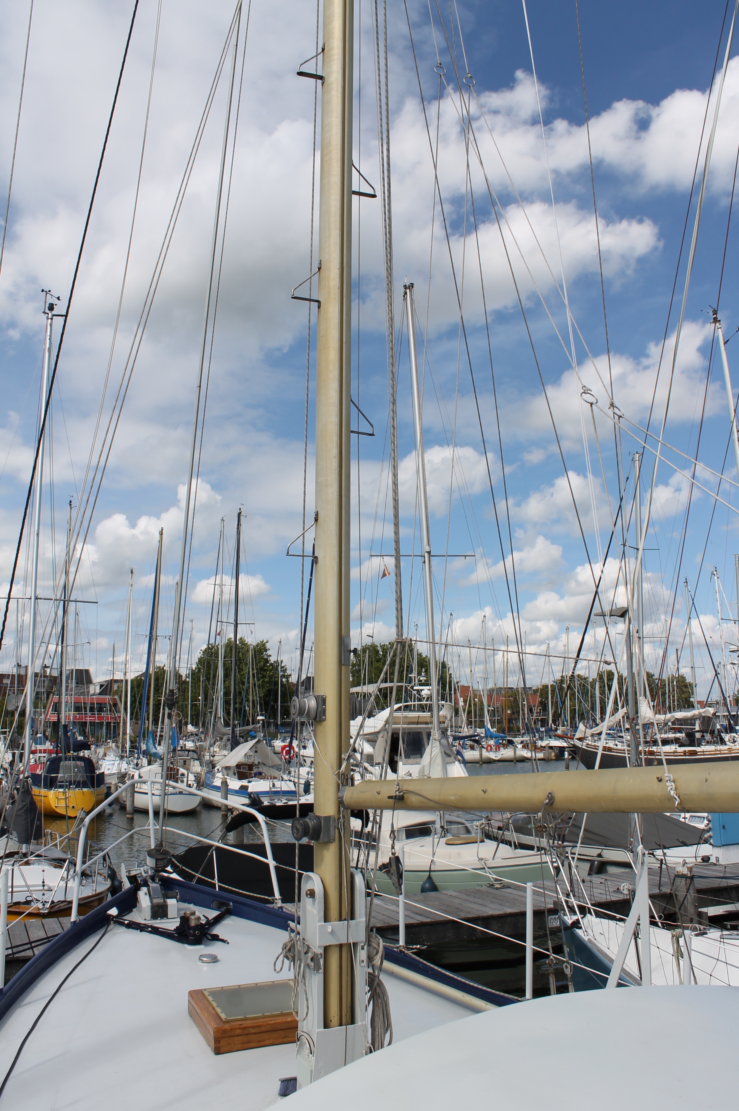 Pieter Beeldsnijder Gouwzee 3A