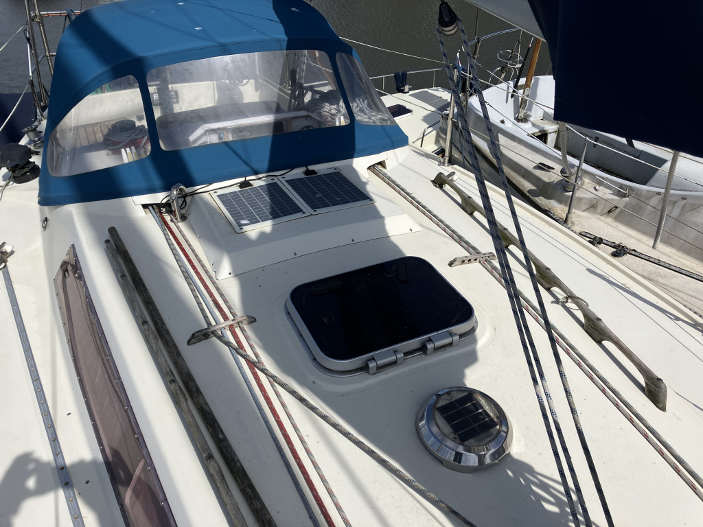 Sunwind 31