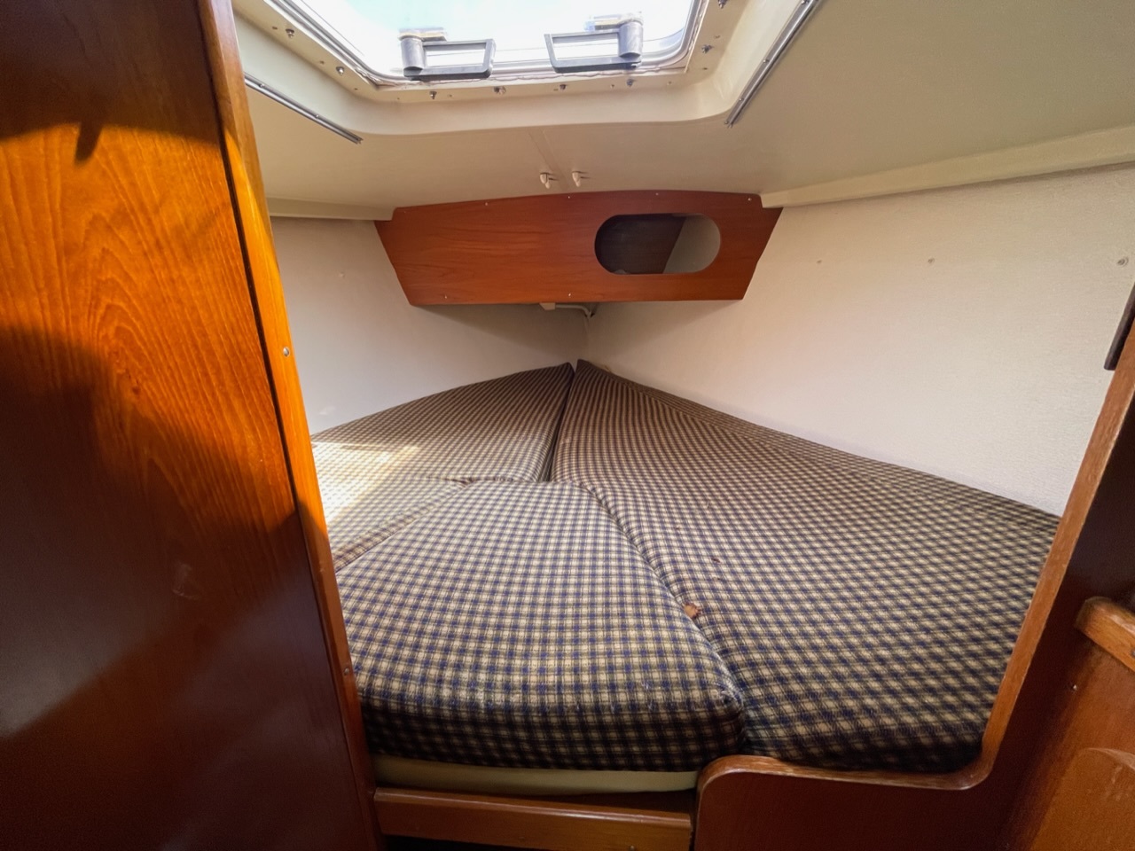 Sturgeon 28