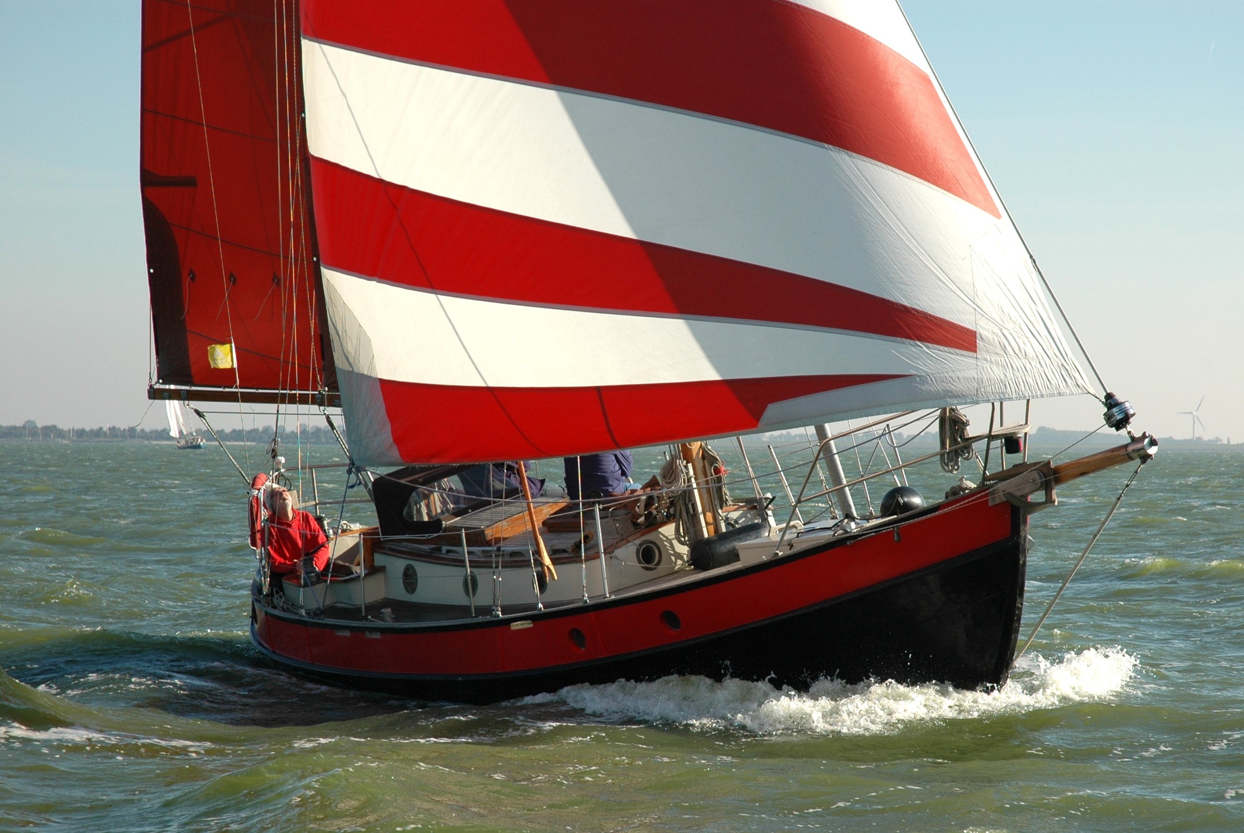 Danish Rose 31